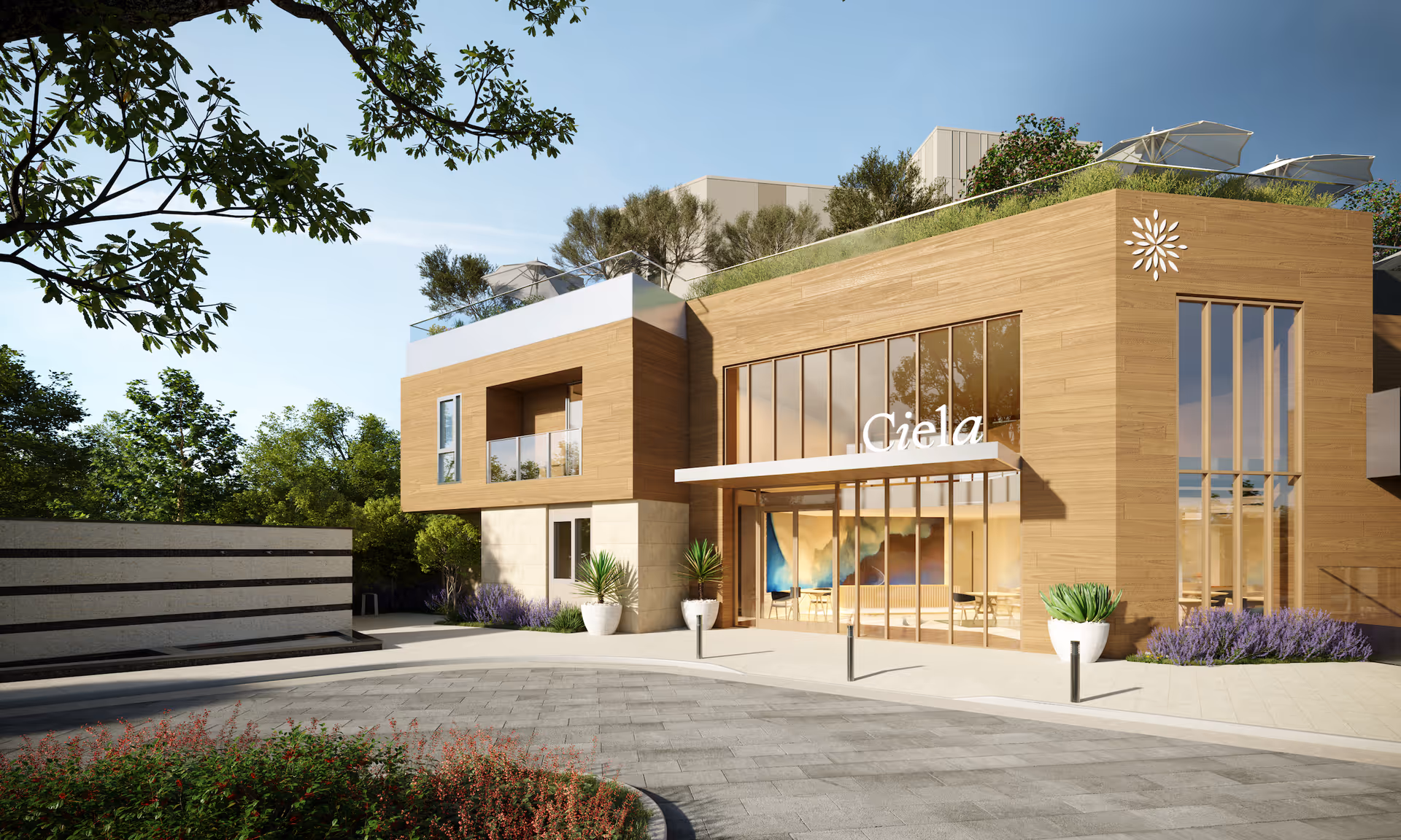 Exterior view of a modern senior living facility named Ciela Senior Living, featuring a wooden facade, large glass windows, potted plants, and a rooftop garden with umbrellas, surrounded by trees and greenery under a clear sky.