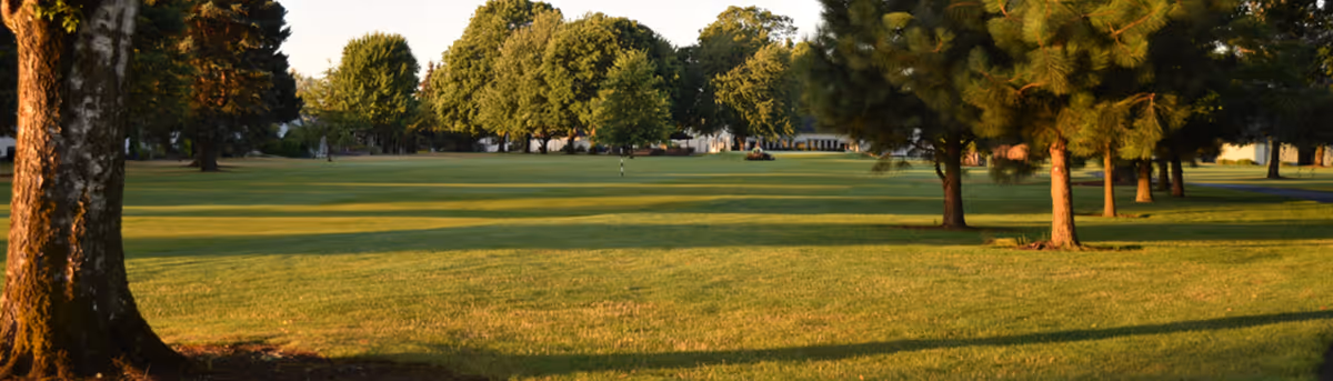 A sunlit, expansive grassy lawn with scattered trees and a distant clubhouse under late-afternoon light.
