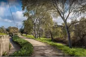 A paved walking path lined with green bushes and trees on both sides under a partly cloudy blue sky.