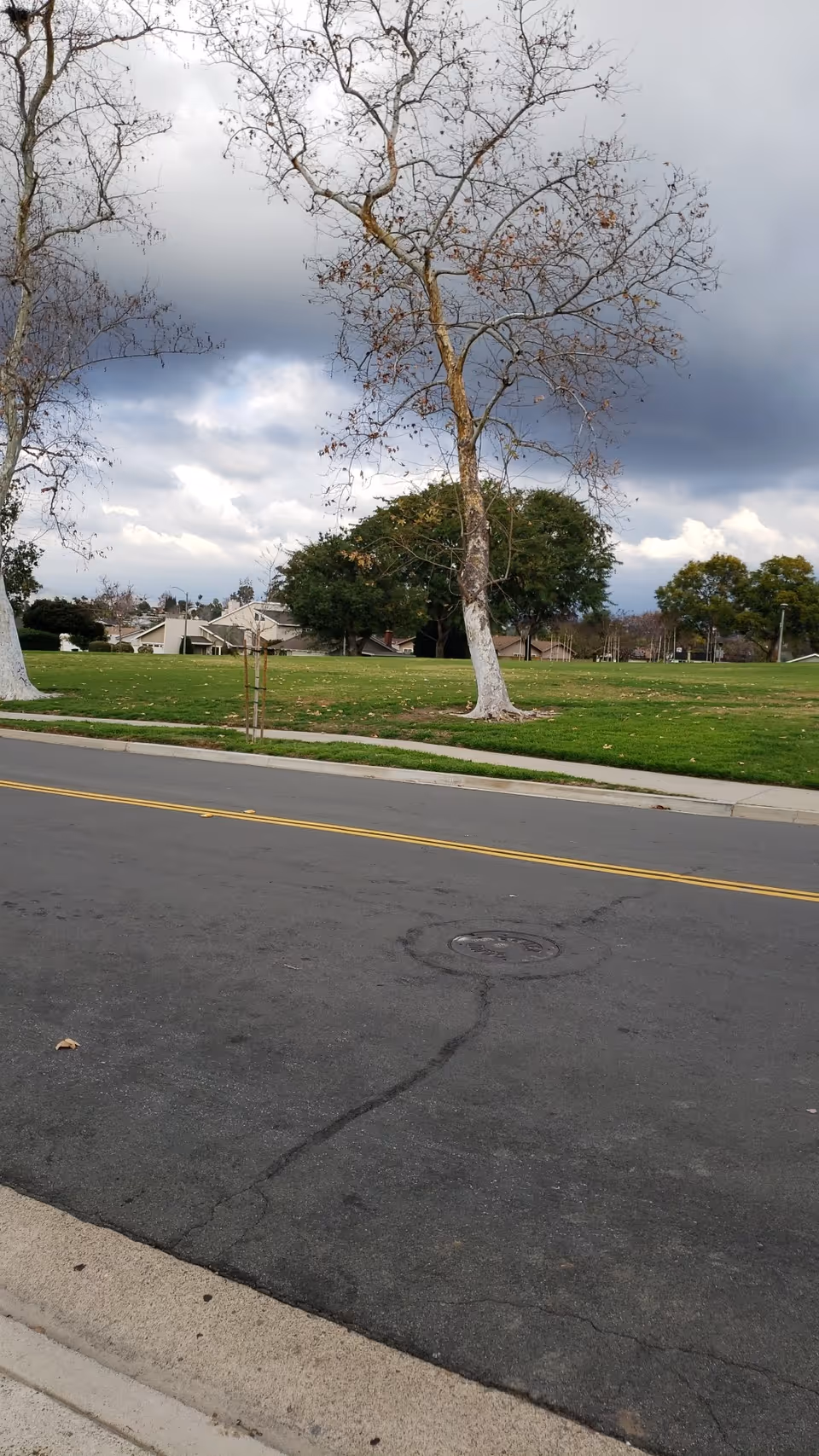 A street view with a paved road in the foreground and a grassy park area with leafless trees and some green trees in the background under a cloudy sky.