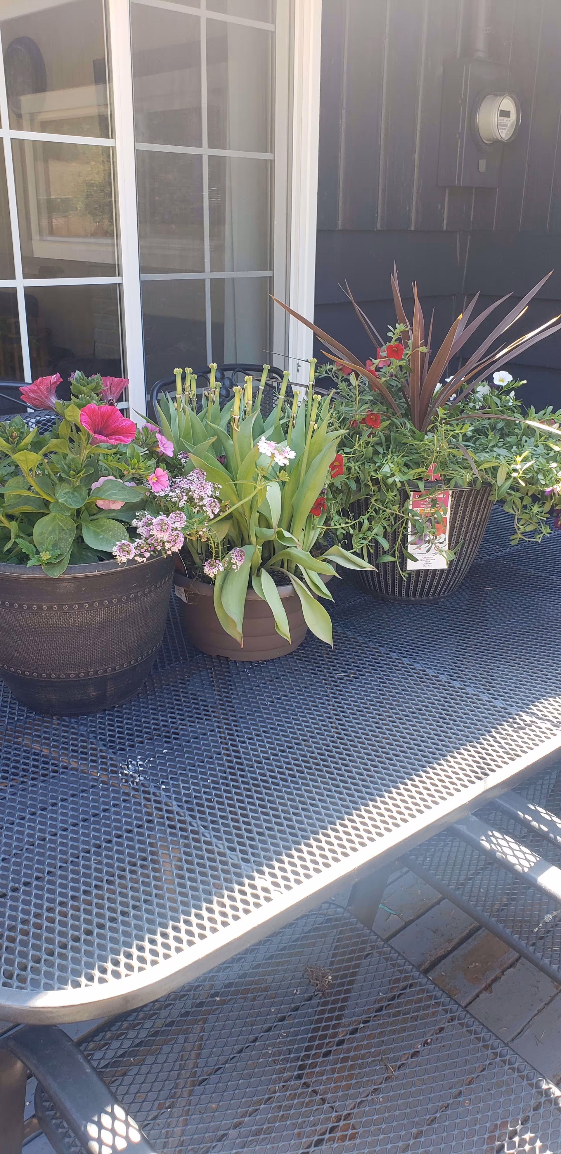Three flower pots with various blooming flowers and green plants placed on a black metal outdoor table. The background shows a window with white frames and a dark exterior wall with an electric meter.