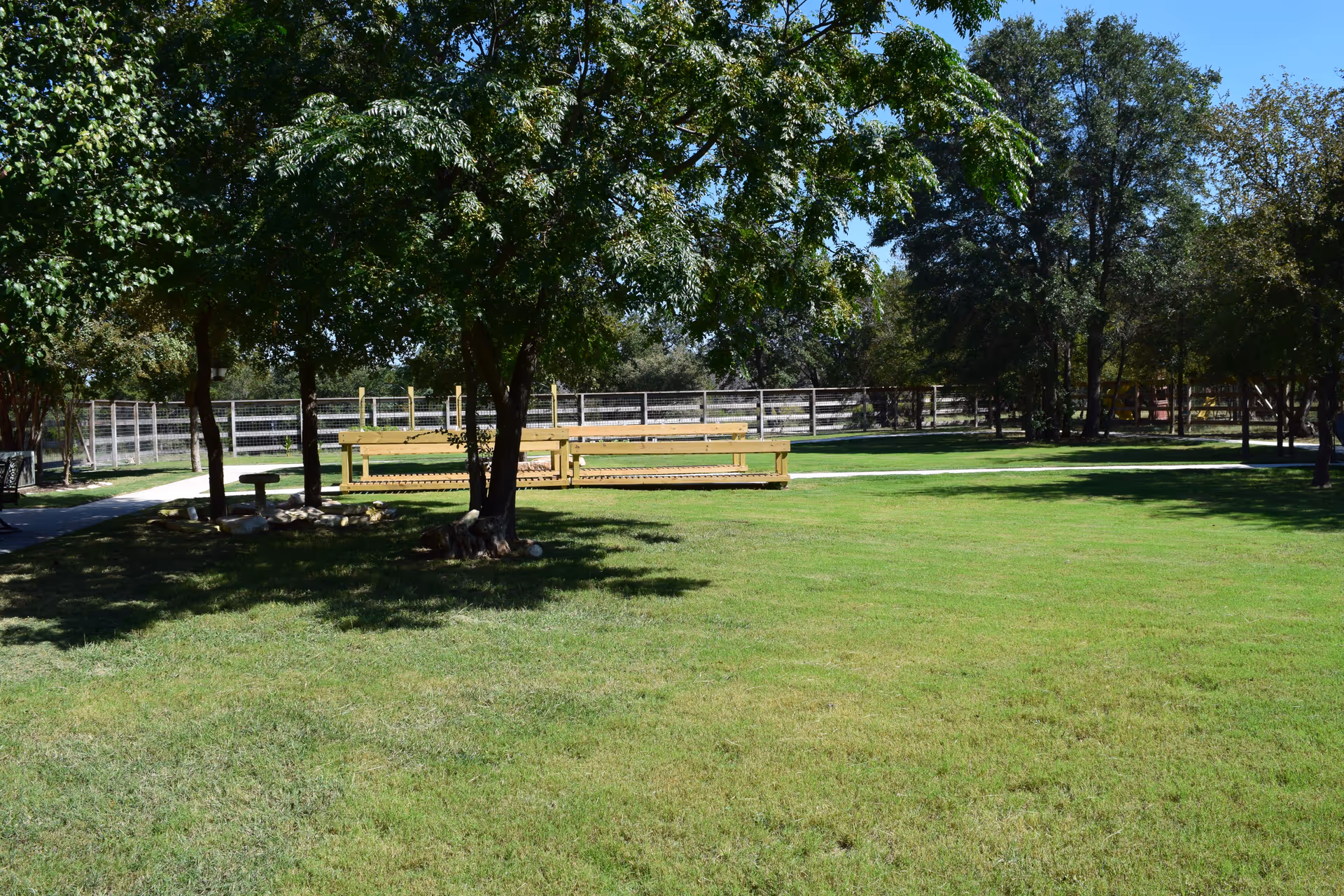 A sunny outdoor area with green grass, several trees providing shade, a wooden bench, and a fenced background under a clear blue sky.