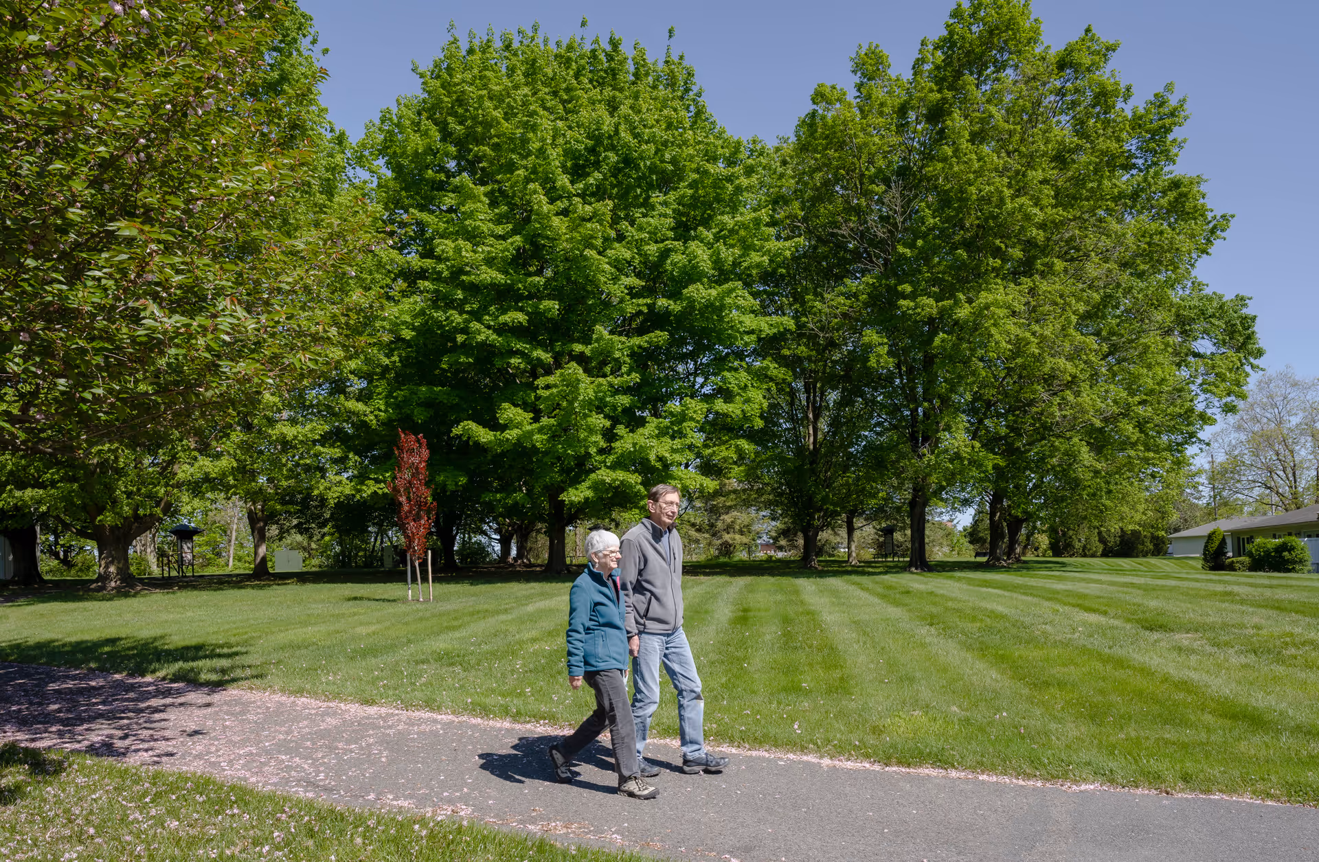 An elderly couple walking together on a paved path through a green park-like area with large leafy trees and well-maintained grass under a clear blue sky.