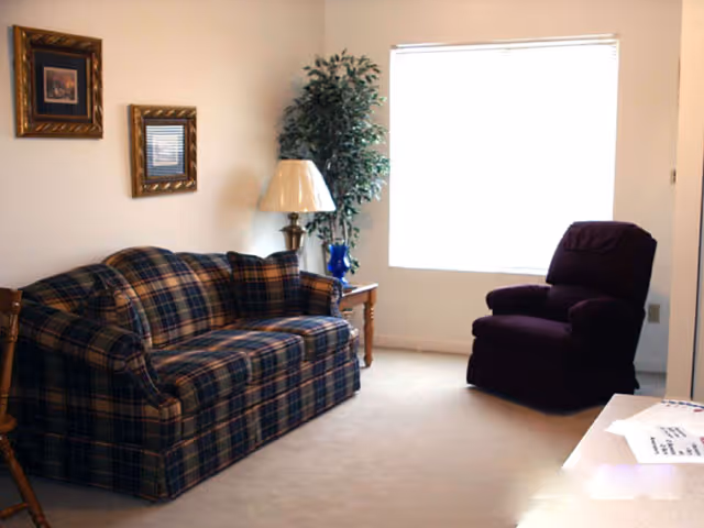 A living room with a plaid sofa on the left, a wooden side table with a lamp and a potted plant next to it, and a dark upholstered armchair near a large window with white blinds. Two framed pictures hang on the wall above the sofa.