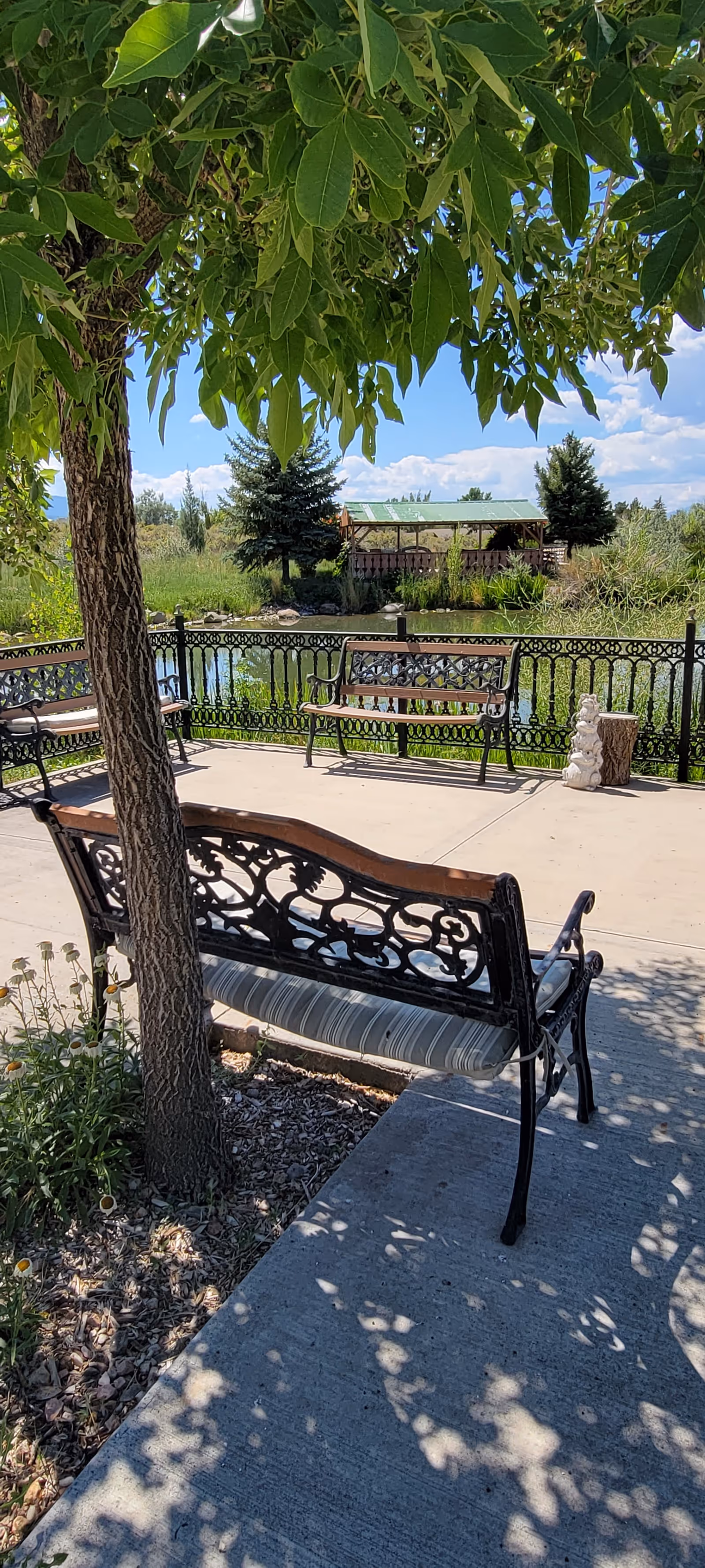 Outdoor seating area with decorative metal benches on a concrete patio shaded by a leafy tree. In the background, there is a black wrought iron fence, a pond, tall grasses, and a wooden gazebo with a green roof under a blue sky with scattered clouds.