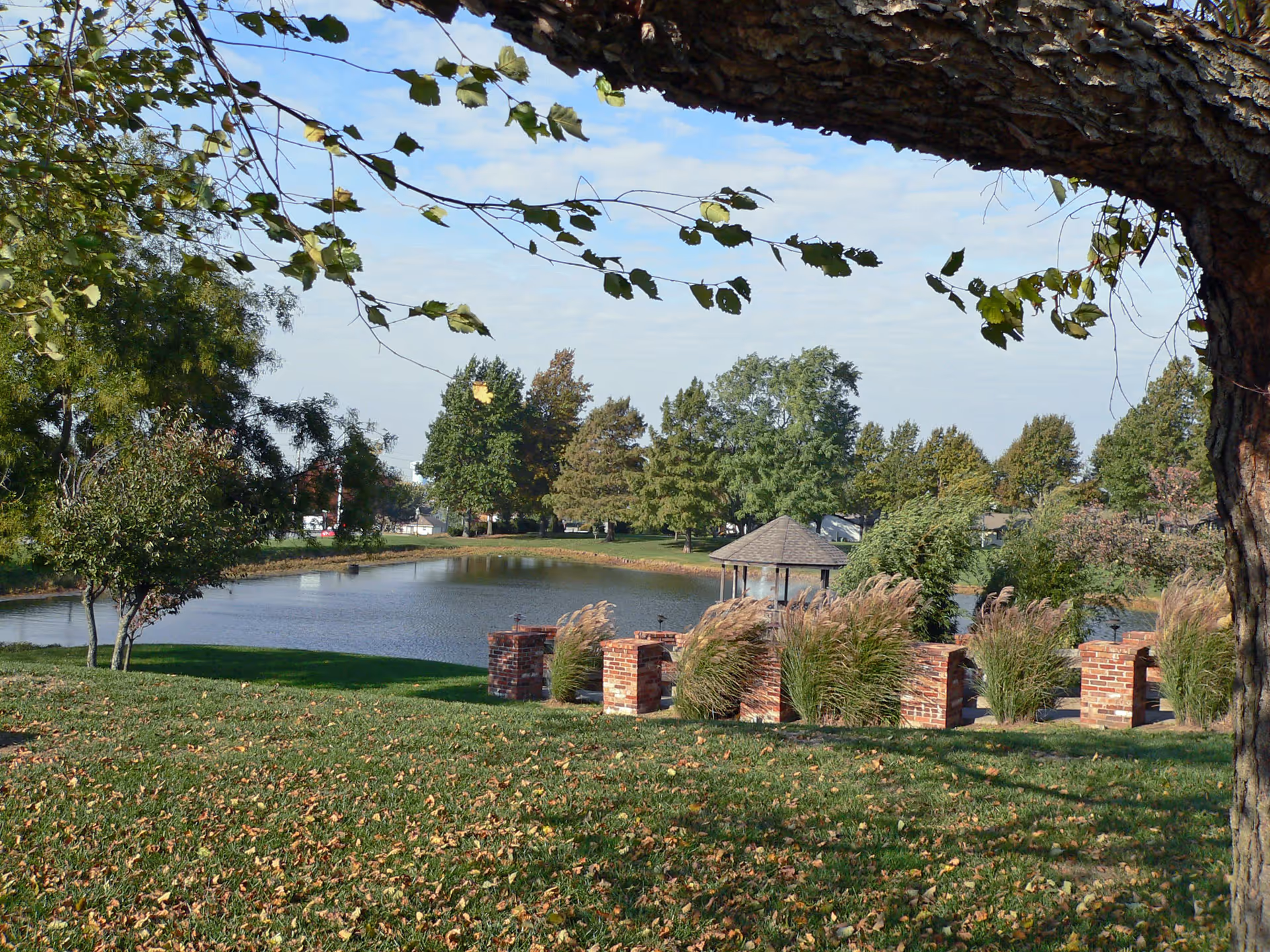 A peaceful outdoor scene at Foxwood Springs Senior Living featuring a small pond surrounded by green grass and trees. In the foreground, there are brick pillars with tall ornamental grasses, and a large tree branch extends across the top of the image. A gazebo is visible near the pond, with a partly cloudy sky overhead.