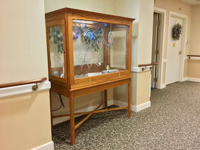 A wooden and glass enclosure housing a small bird cage with a green bird inside, placed in a hallway with beige walls, carpeted floor, and handrails along the walls. There are two white doors in the background, one decorated with a wreath.
