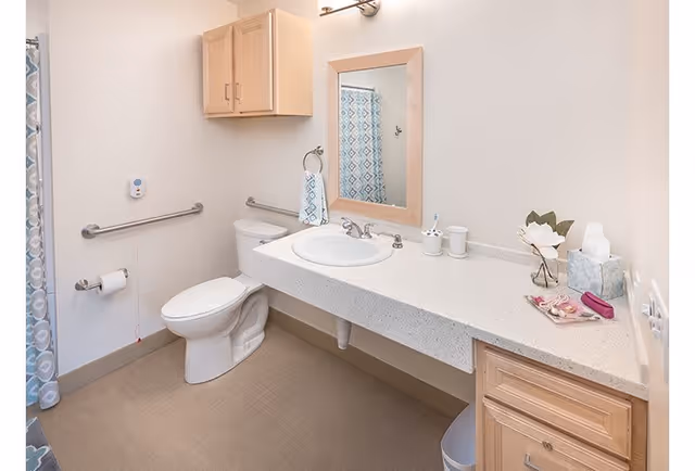 A clean and well-lit senior living bathroom featuring a toilet with grab bars on the wall, a sink with a large countertop, a mirror above the sink, a wooden cabinet mounted on the wall, and a shower curtain with a geometric pattern.