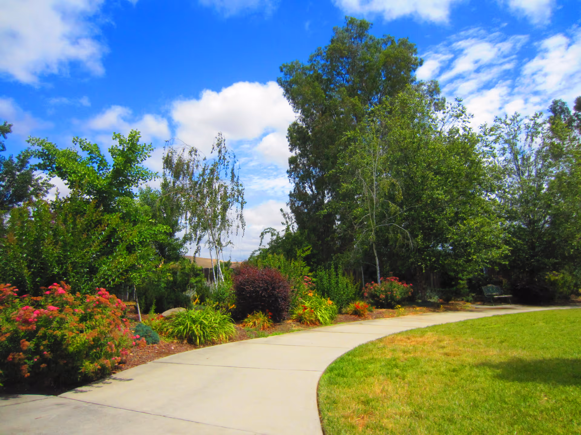 A curved concrete pathway surrounded by green grass and various trees and shrubs under a partly cloudy blue sky in an outdoor garden setting.