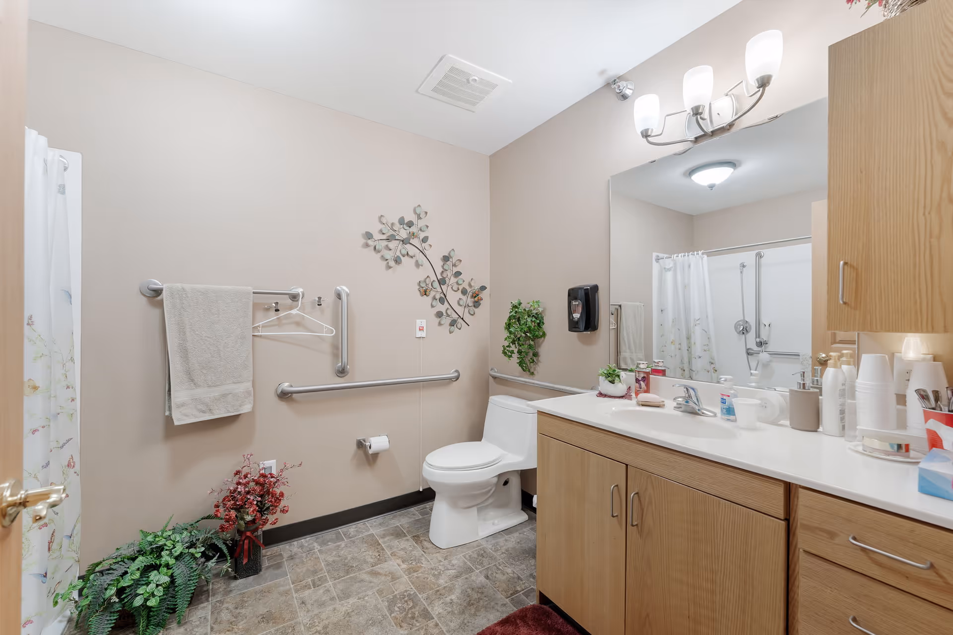 Accessible bathroom with a toilet, sink vanity, shower with curtain, grab bars, and decorative plants.