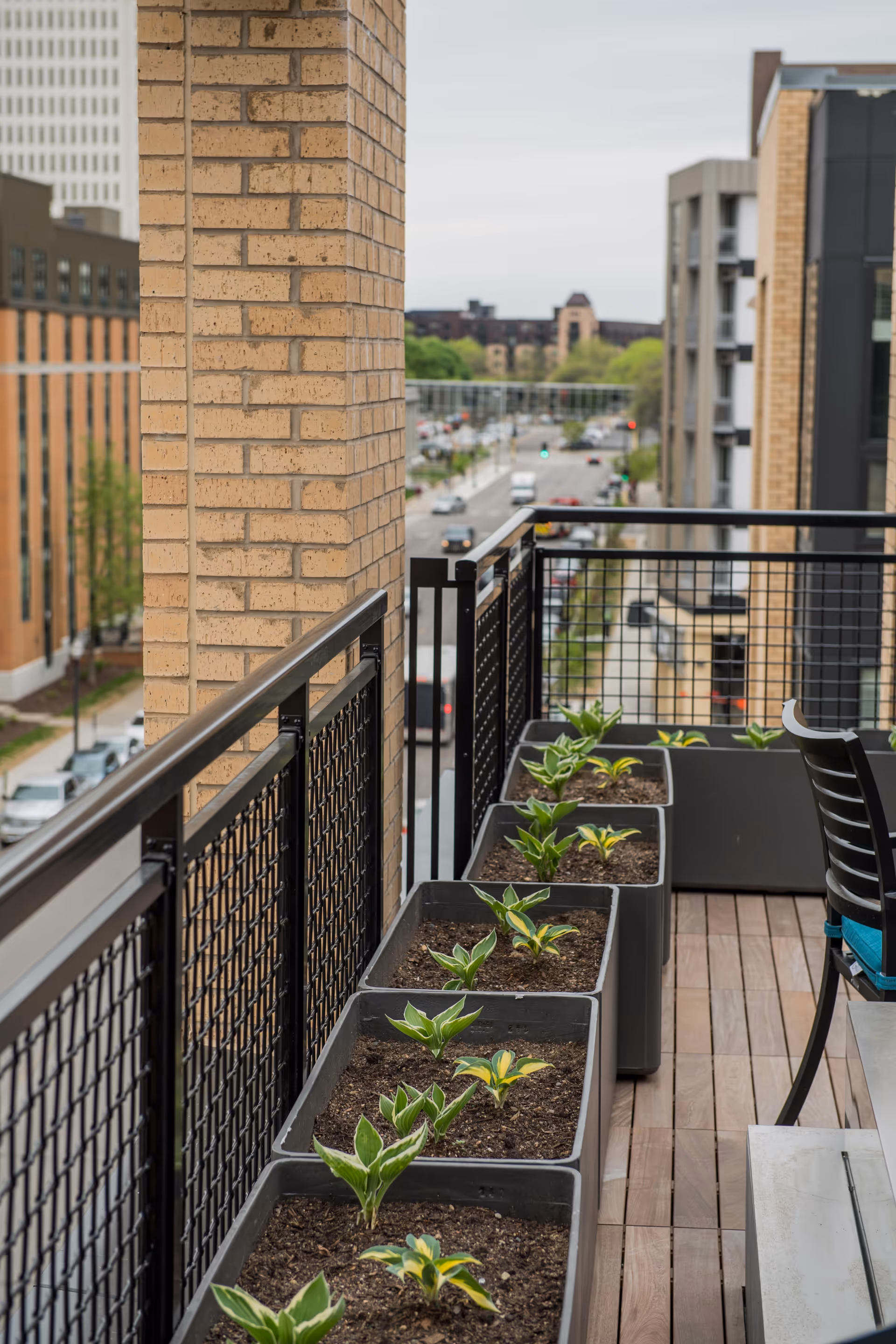 A balcony garden with several rectangular planters containing small green plants. The balcony has a black metal railing and wooden flooring. There is a black chair with a blue cushion and a table on the right side. In the background, there is a view of a city street with buildings and trees.