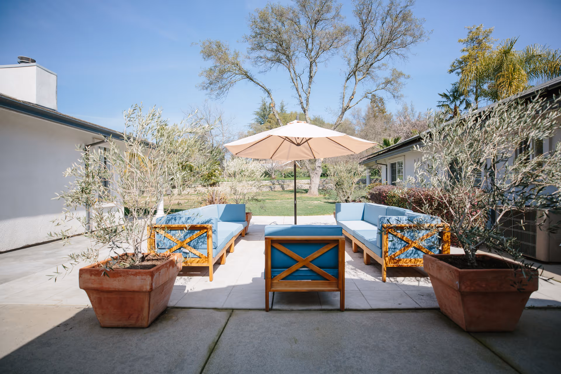 Outdoor patio courtyard with blue-cushioned wooden sofas arranged around a central umbrella and large potted plants.