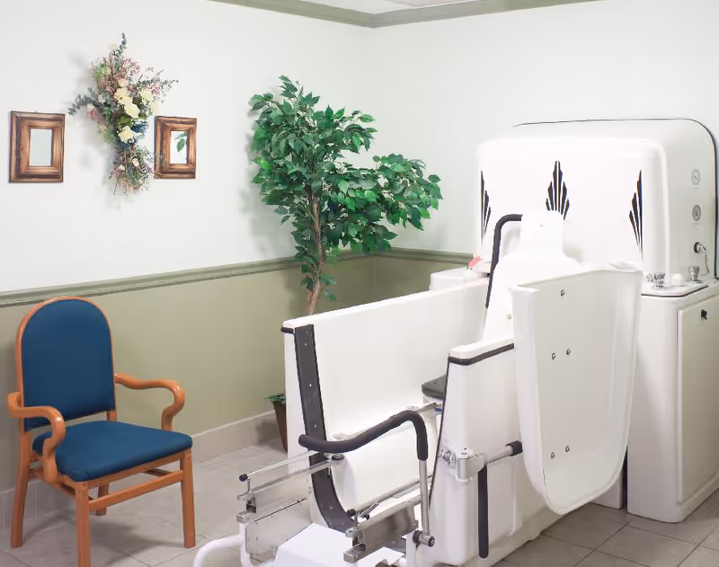 A room with a white medical bath chair and tub, a blue cushioned wooden chair, a potted green plant, two small framed mirrors, and a floral wall decoration on a white and green wall.
