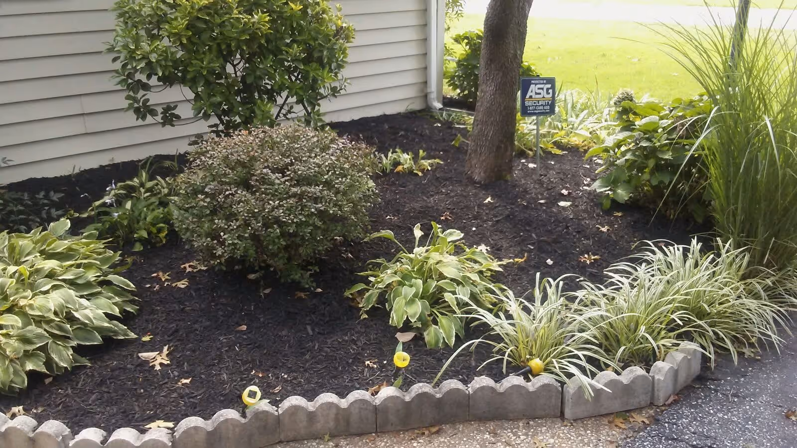 A landscaped garden area beside a building with various green shrubs and plants, bordered by a low decorative stone edging. A tree is present with a security sign that reads 'Protected by ASG Security'.
