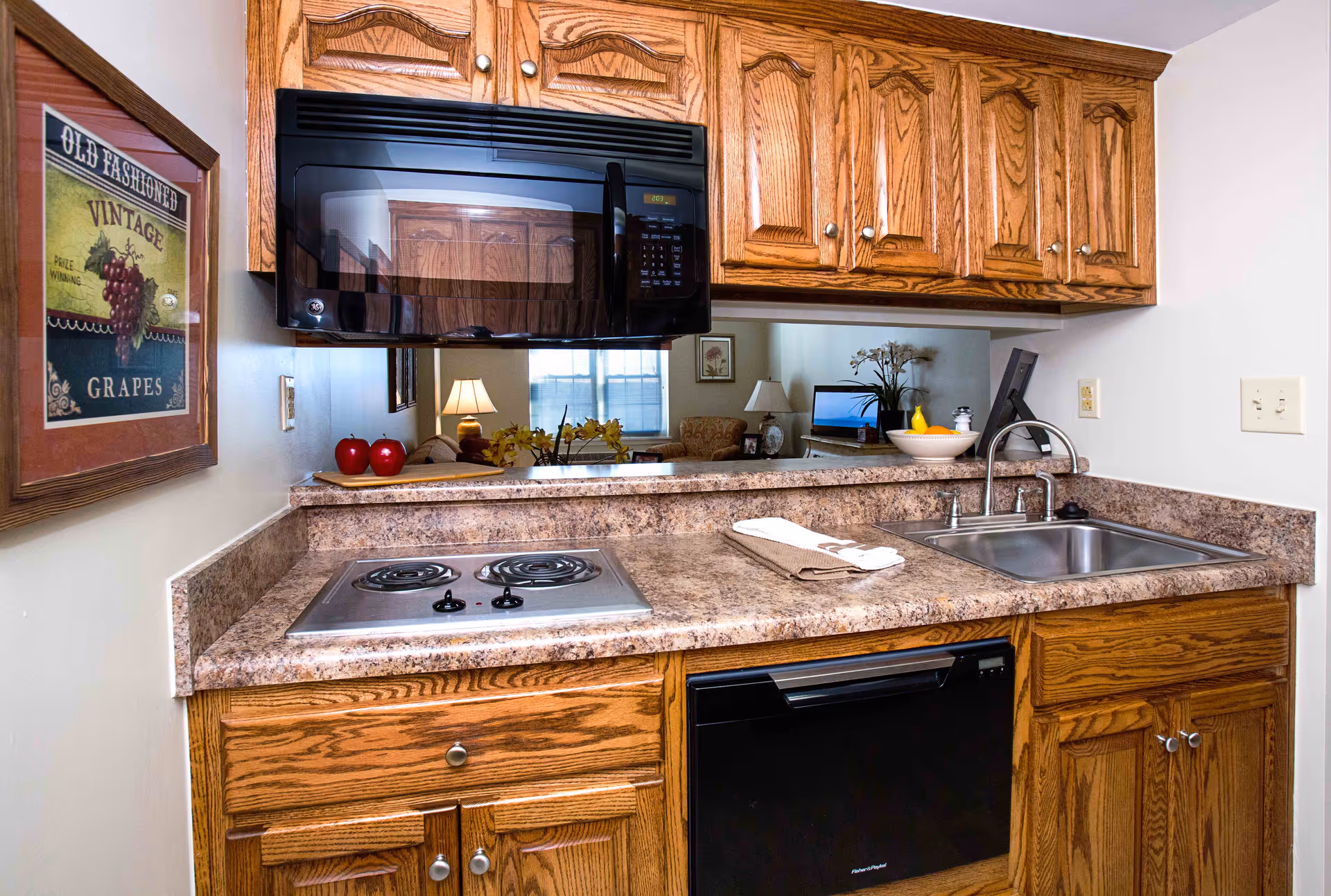 A compact kitchen area with wooden cabinets, a black microwave mounted above a two-burner electric stove, a stainless steel sink with a faucet, and a countertop with a folded towel. There is a framed vintage-style grape poster on the left wall and a pass-through window showing a living room with a lamp, armchair, and TV in the background.