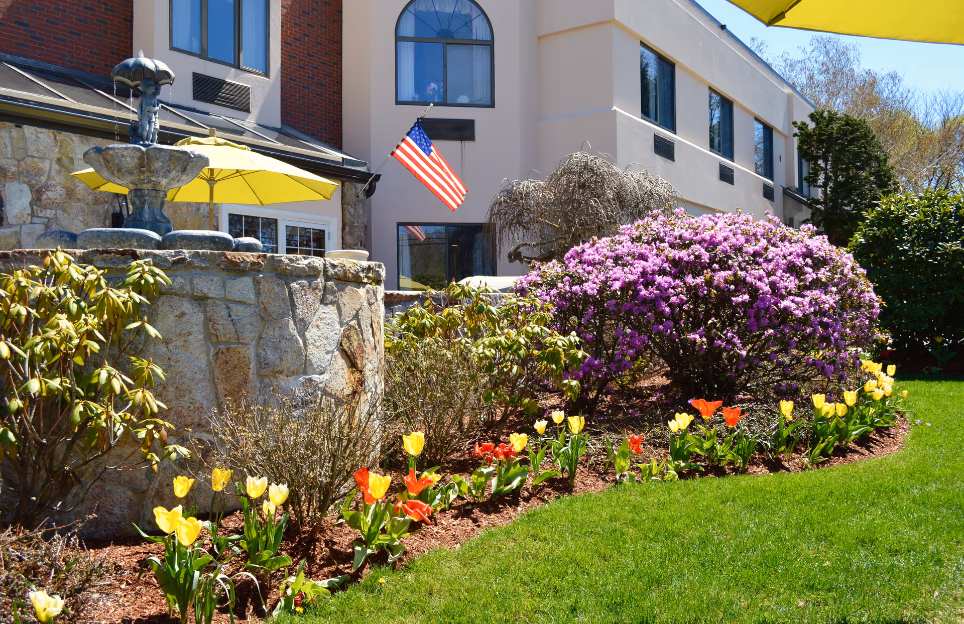 Flowerbed with yellow and red tulips, a stone fountain and blooming purple shrubs in front of a light-colored building flying an American flag.
