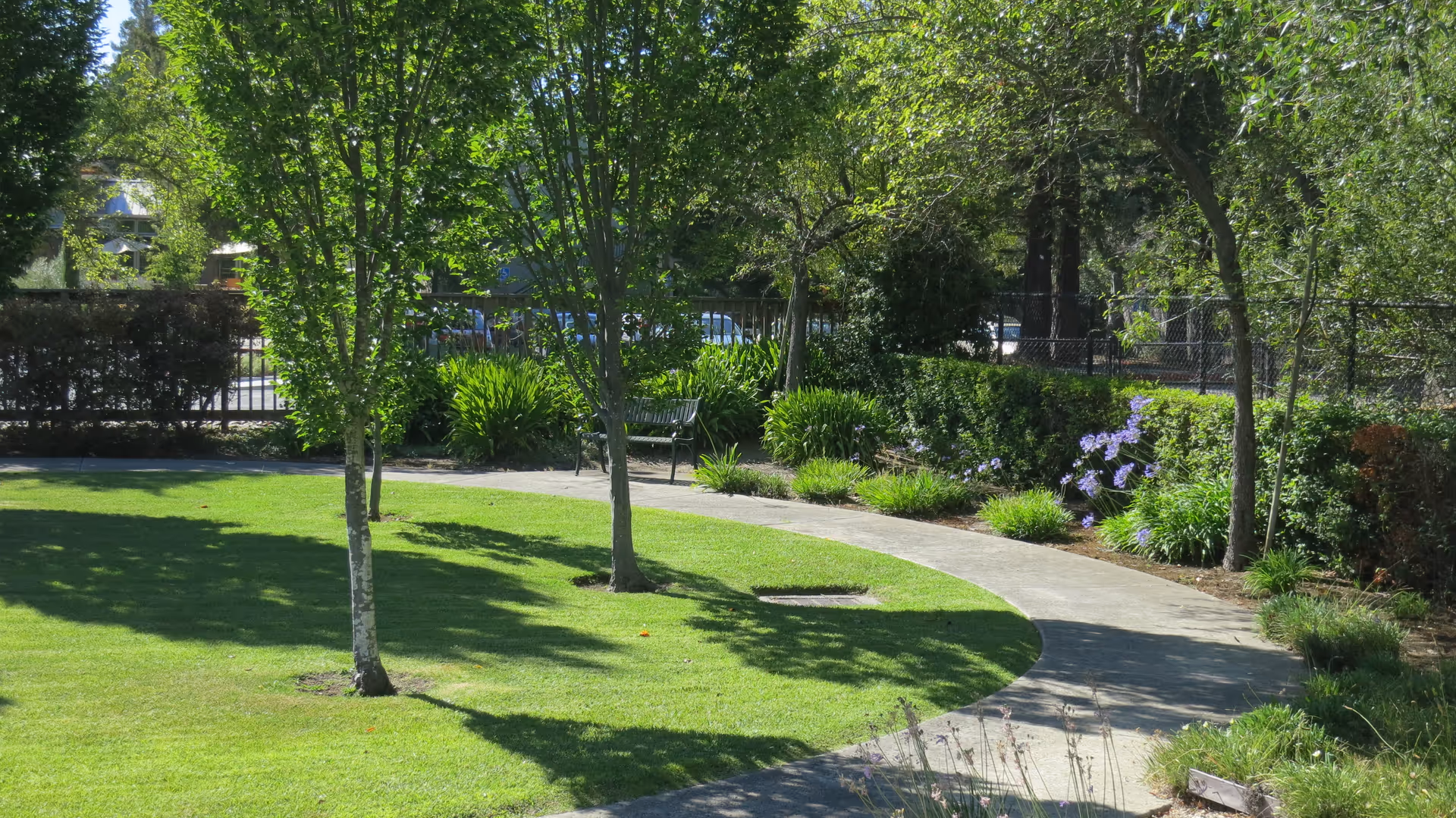 A peaceful outdoor garden area with a curved concrete pathway, green grass, several trees, bushes, and purple flowers. A metal bench is placed along the pathway, surrounded by lush greenery and shaded by trees.