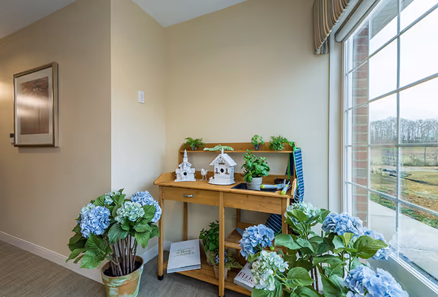A cozy corner inside a room featuring a wooden console table decorated with small white birdhouses, potted plants, and gardening tools. Surrounding the table are several pots of blue and white hydrangea flowers. A large window on the right side lets in natural light and offers a view of an outdoor landscape with trees and grass. A framed picture hangs on the beige wall to the left.