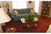 Living room with a green couch, wooden coffee table topped with a potted plant, red area rug, side lamps, and a bookshelf.