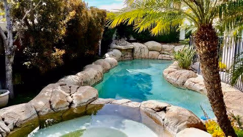 Outdoor pool area with a natural rock border surrounded by palm trees and other greenery under a clear sky.