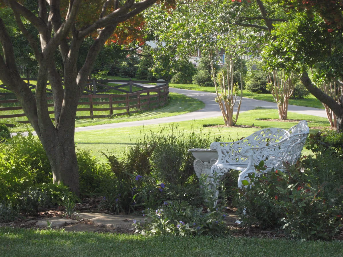 A white ornate metal bench sits under shade trees in a landscaped garden with a winding driveway and wooden fence in the background.