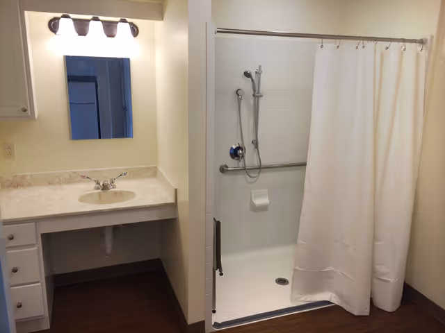 Bathroom with a countertop sink and mirror on the left and a walk-in shower with grab bar and white curtain on the right.