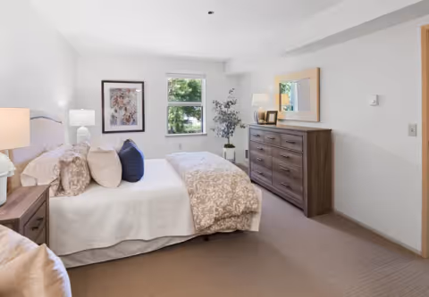 A bright and neatly arranged bedroom featuring a large bed with white and beige bedding, multiple pillows, a wooden nightstand with a lamp, a wooden dresser with a mirror above it, a potted plant, and a window showing greenery outside.