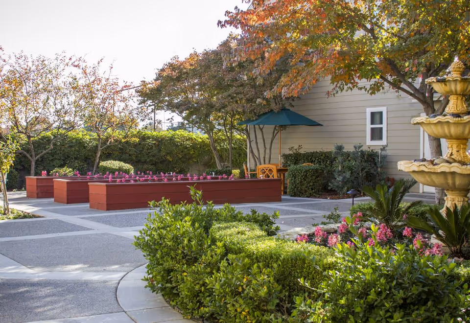 A peaceful outdoor garden area at The Grove Senior Living featuring raised red wooden planter boxes with pink flowers, neatly trimmed green bushes, a multi-tiered yellow fountain, and trees with autumn-colored leaves. There is a patio umbrella and a wooden chair near the building wall in the background.