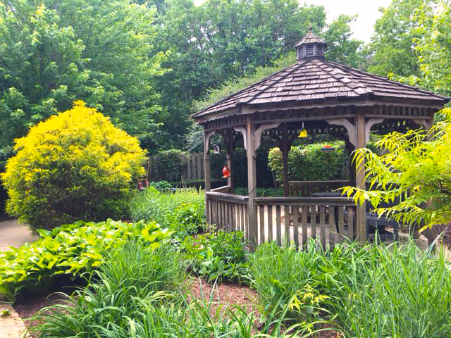 A wooden gazebo with a shingled roof is surrounded by lush green plants and trees in a garden setting. The area is vibrant with various types of foliage and a pathway is visible on the left side.