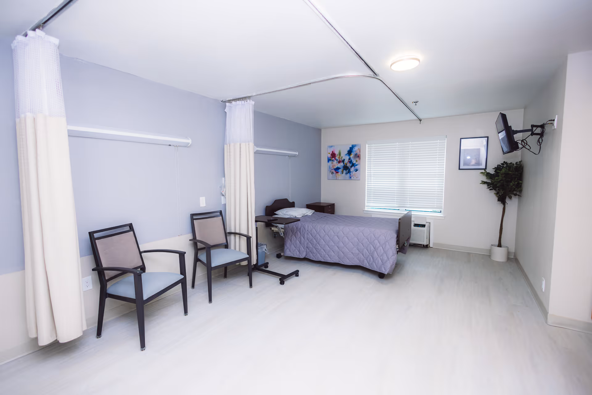 A clean and bright healthcare facility room with a single bed covered in a purple quilt, two chairs, a small bedside table, a wall-mounted TV, a potted plant, and a window with blinds. Privacy curtains are partially drawn around the bed area.