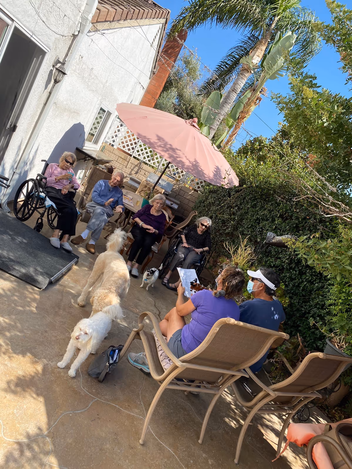 A group of elderly people sitting outdoors in a patio area with chairs and a pink umbrella. Two caregivers are seated facing them, one holding a paper and the other wearing a face mask and visor. Two dogs are also present on the patio. The setting is surrounded by greenery and palm trees under a clear blue sky.