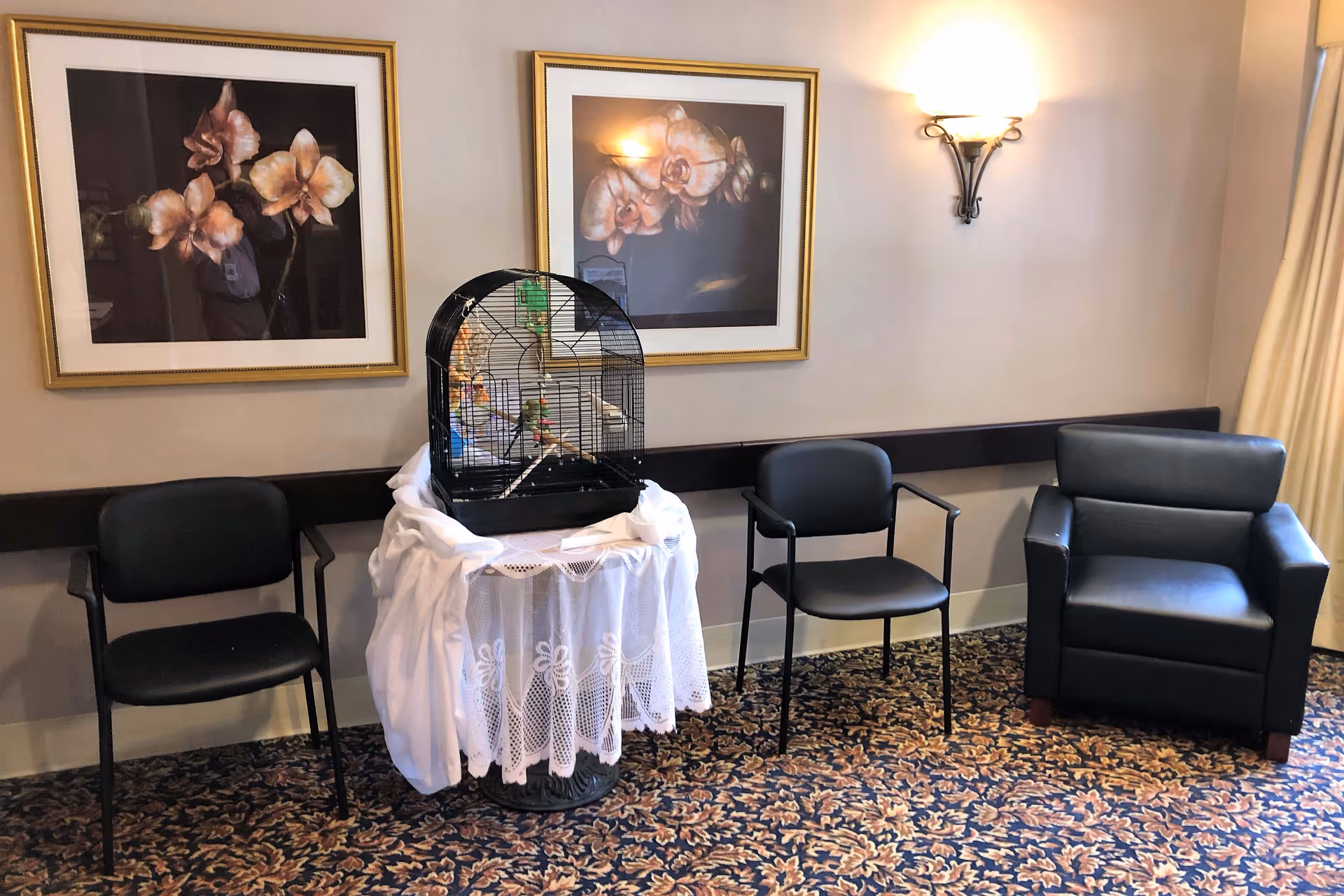 A cozy seating area with two black chairs and one black armchair arranged around a small round table covered with a white lace tablecloth. On the table is a birdcage with a small bird inside. The wall behind features two framed floral paintings and a wall-mounted light fixture. The floor is carpeted with a patterned design.