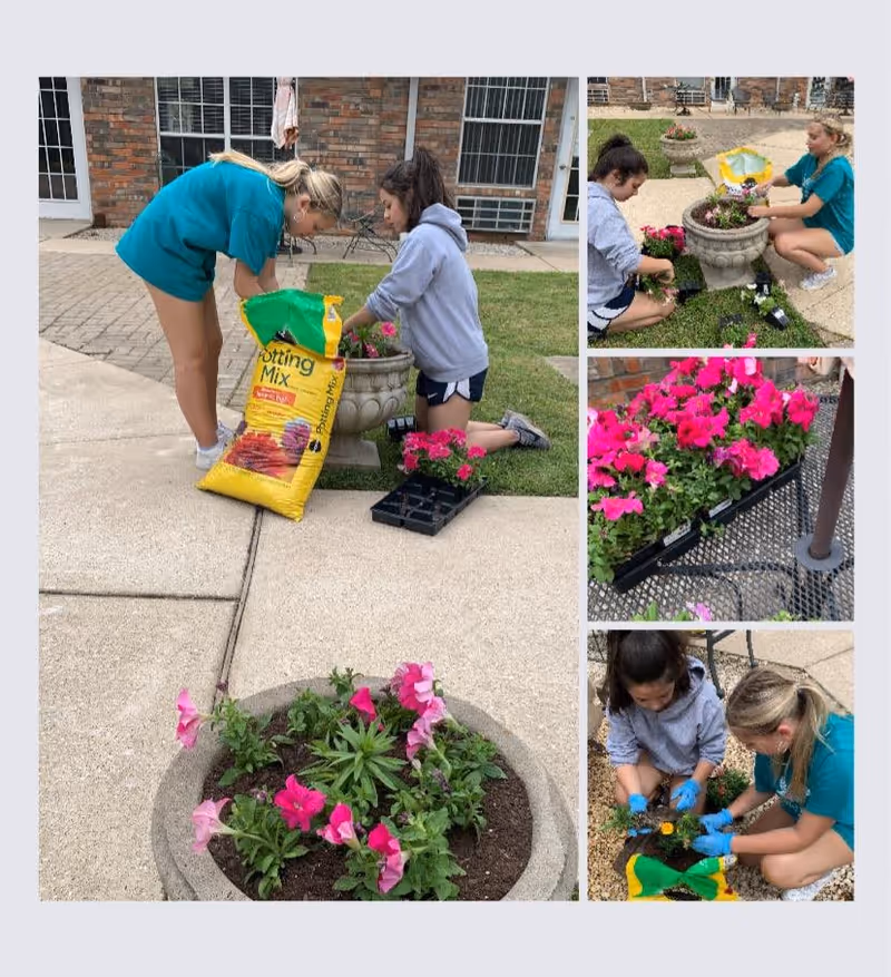 A collage of four images showing two young women gardening outdoors near a brick building. They are planting pink flowers in large stone planters and working with potting mix. One image shows a close-up of pink flowers in trays on a metal table.