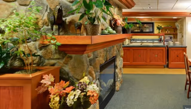 Cozy interior showing a stone fireplace with a wooden mantel, potted plants and flowers, and a wooden buffet counter in a dining/lounge area.