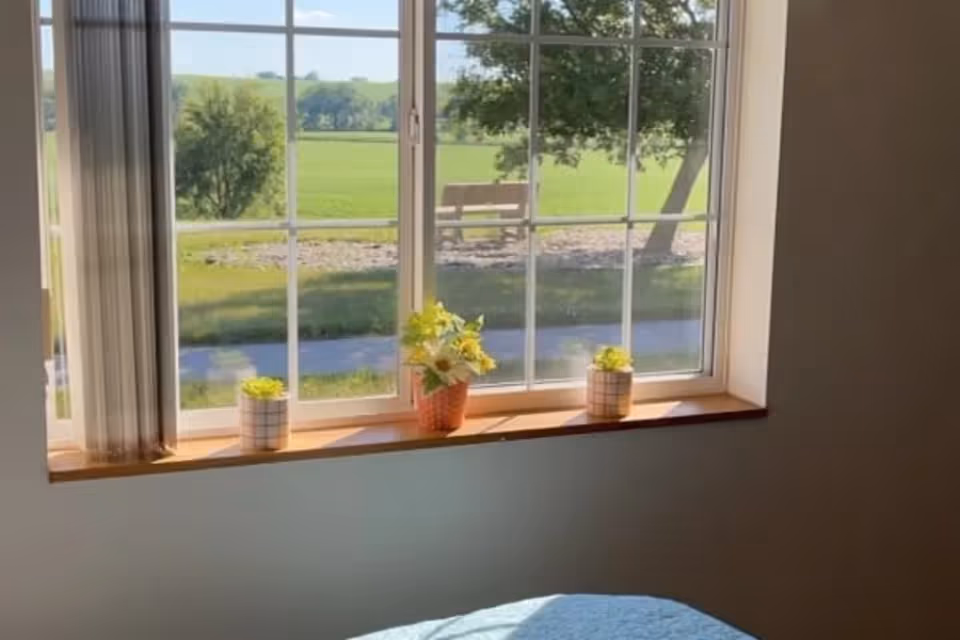 A window with a wooden sill featuring three small potted plants, two with green succulents and one with yellow flowers, overlooking a green outdoor area with trees and a bench.