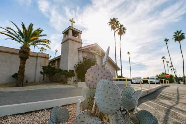 Cactus in the foreground with a sunlit stucco building topped by a cross and palm trees in the background.
