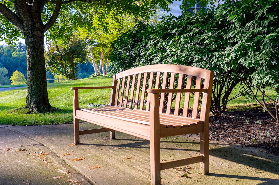 A wooden bench on a concrete path surrounded by green grass, trees, and bushes in a sunny outdoor garden area.