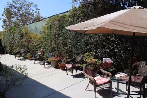 Outdoor patio with chairs, tables, umbrella, and potted plants along a sunny wall