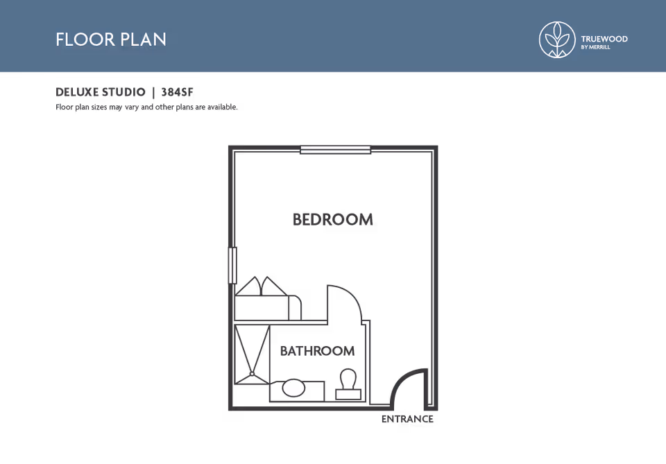 Graphic floor plan of a deluxe studio apartment showing a bedroom and bathroom layout with a Truewood by Merrill header and logo.