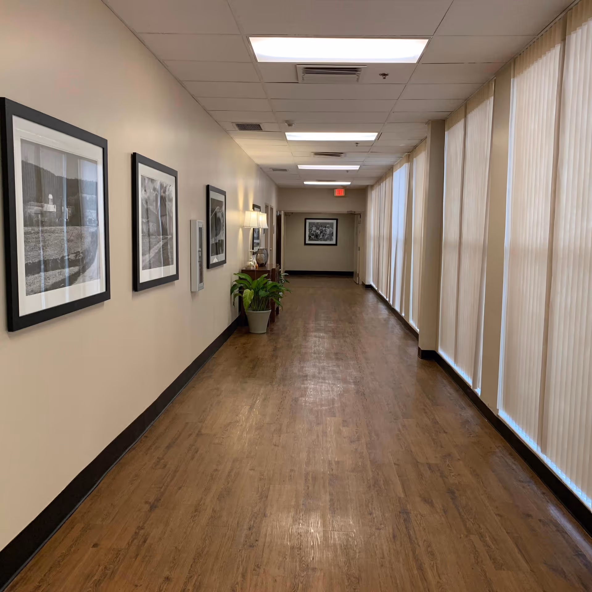 Long, well-lit interior hallway with framed black-and-white photos on the left wall, potted plants and lamps, and tall windows with vertical blinds on the right.