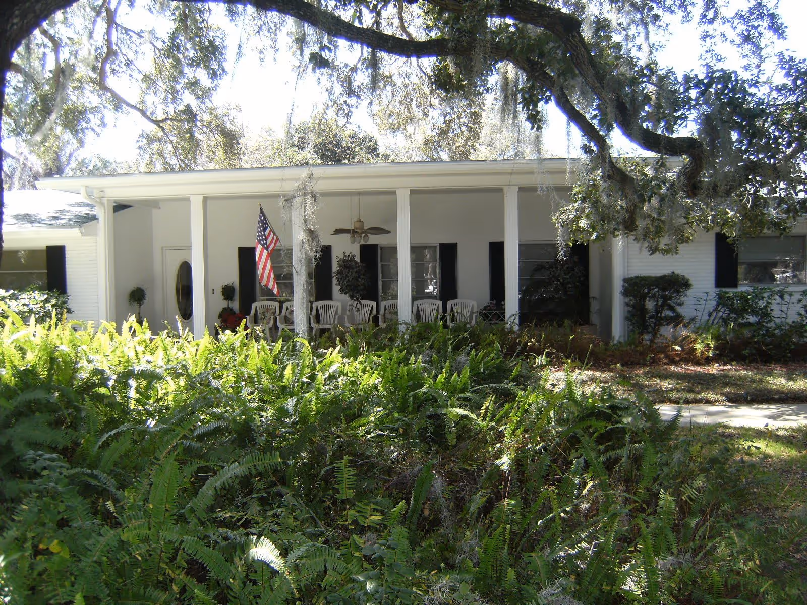 Front view of a white single-story building with a covered porch featuring several white chairs and an American flag. The porch is shaded by large trees with hanging moss, and there are lush green ferns and bushes in the foreground.