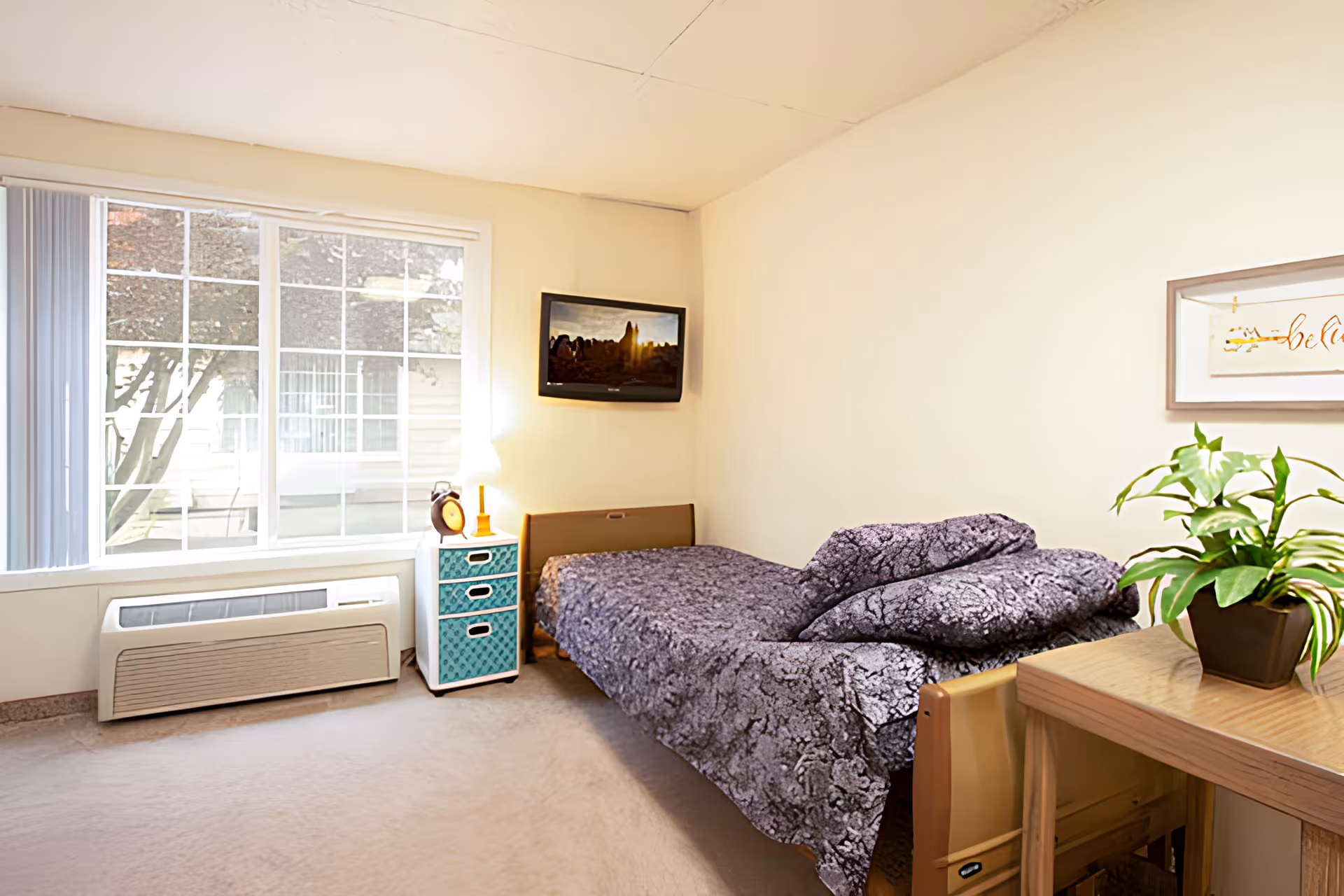 A small bedroom with a single bed covered in a dark patterned bedspread and matching pillows. Next to the bed is a small nightstand with three drawers in blue and white, topped with a lamp and a clock. A flat-screen TV is mounted on the wall above the bed. There is a large window with vertical blinds letting in natural light, and a wooden table with a green potted plant on it is visible in the foreground. The walls are painted light beige.