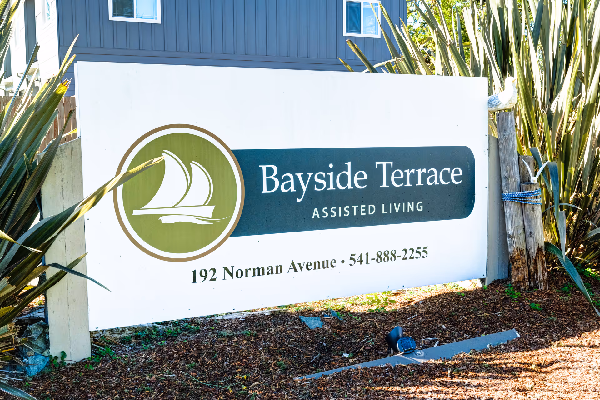 Outdoor sign for Bayside Terrace Assisted Living located at 192 Norman Avenue with a phone number 541-888-2255, surrounded by plants and a building partially visible in the background.