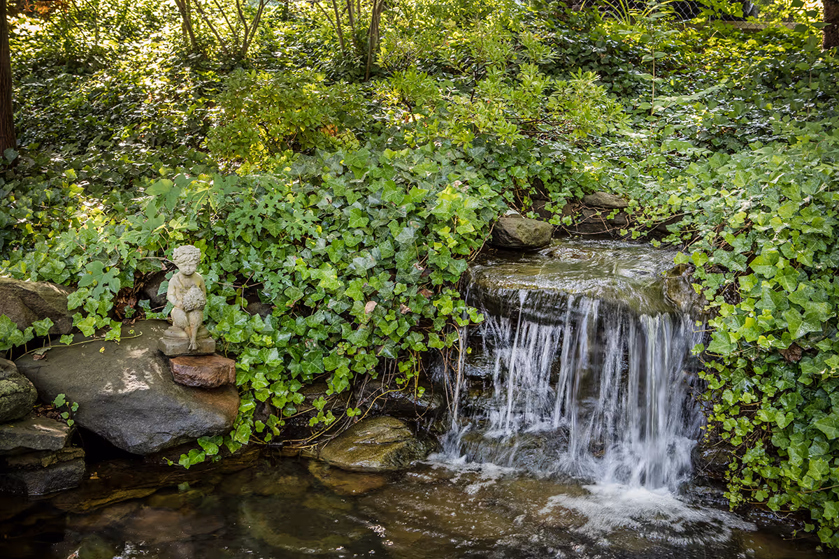 A small waterfall flowing over rocks surrounded by lush green ivy and other plants, with a small stone statue of a child holding a basket sitting on a rock to the left of the waterfall.