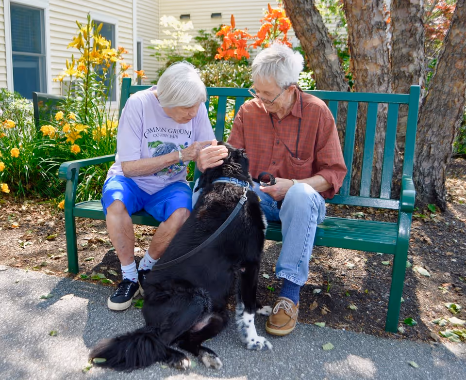 Two elderly people sitting on a green bench outdoors, petting a large black and white dog. They are surrounded by colorful flowers and trees, with a building visible in the background.