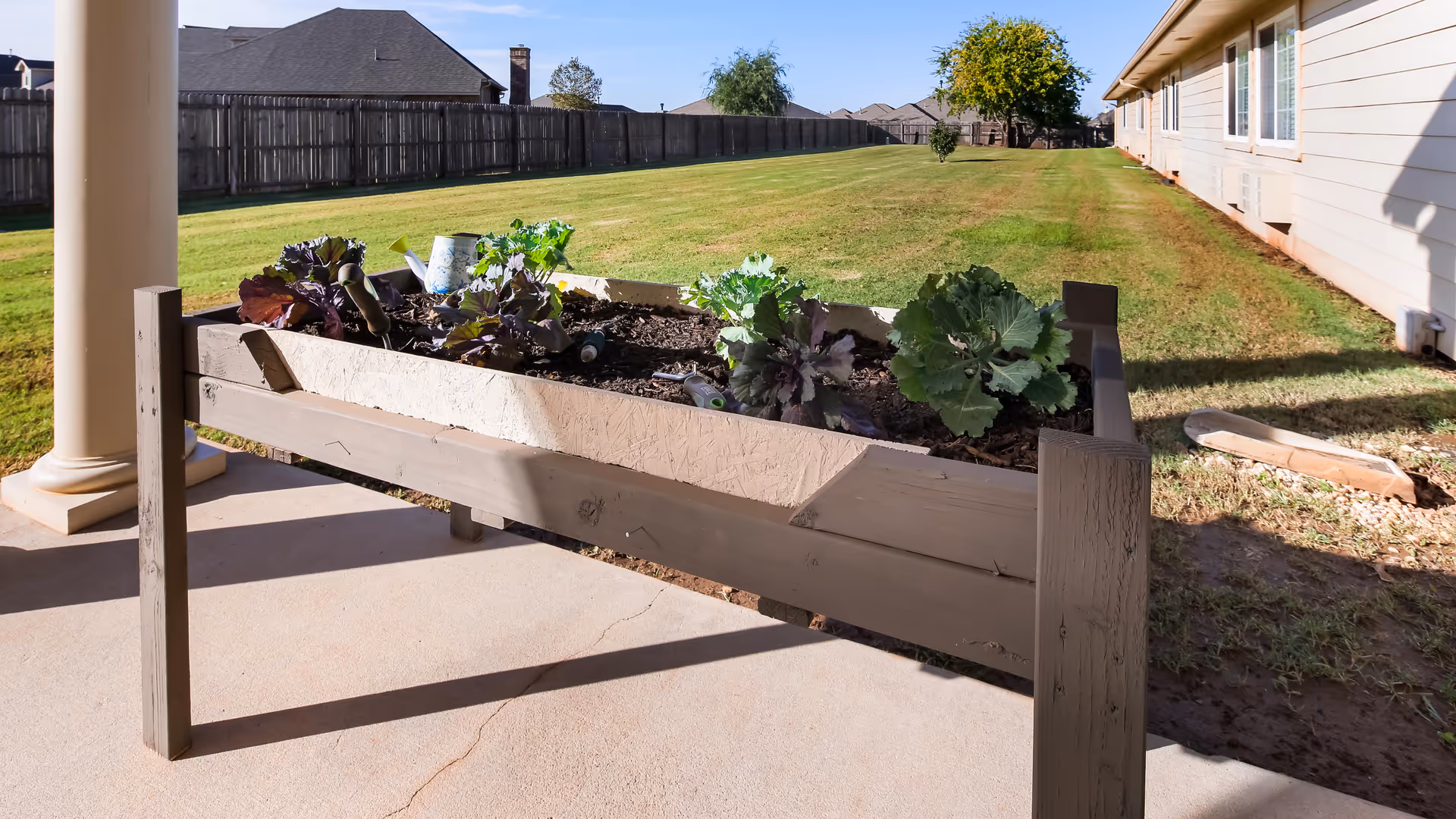 Raised wooden planter with leafy vegetables on a patio beside a long lawn and the side of a building.