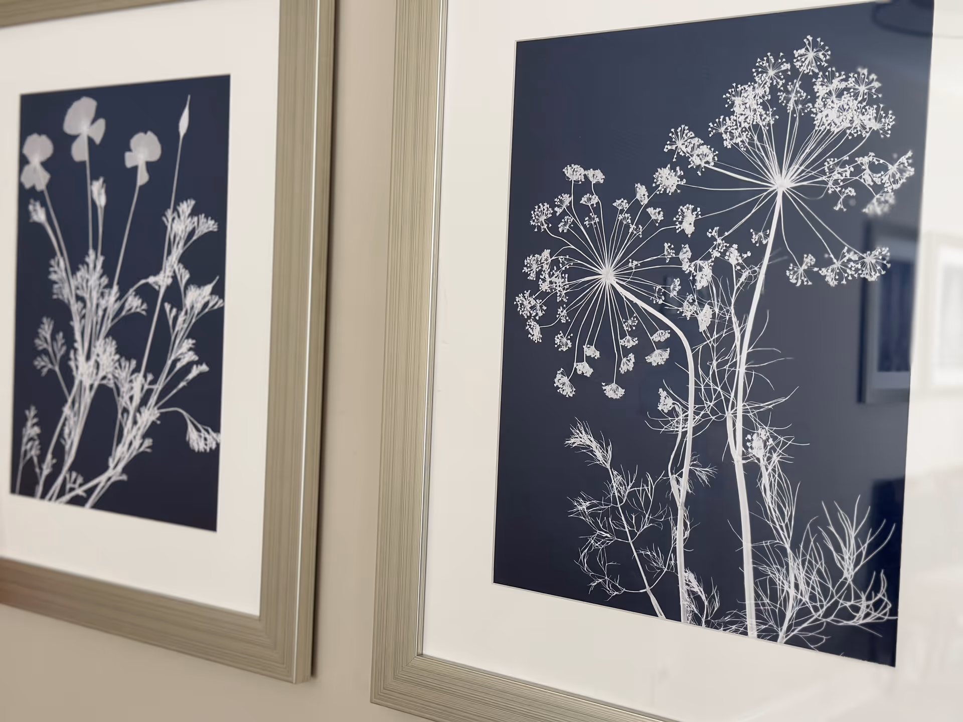 Two framed botanical prints featuring white silhouettes of delicate flowers and plants on a dark blue background, hanging on a light-colored wall.