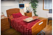 A cozy bedroom in a senior living facility featuring a single wooden bed with a red textured blanket and matching pillows. A wooden nightstand with a lamp and a small television mounted on the wall are visible. There is a green potted plant in the corner and a chair with a cushion near the window with blinds.