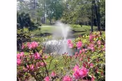 A serene outdoor scene featuring a pond with a water fountain in the center, surrounded by green trees and bushes. Pink flowers are in the foreground, adding vibrant color to the natural setting.