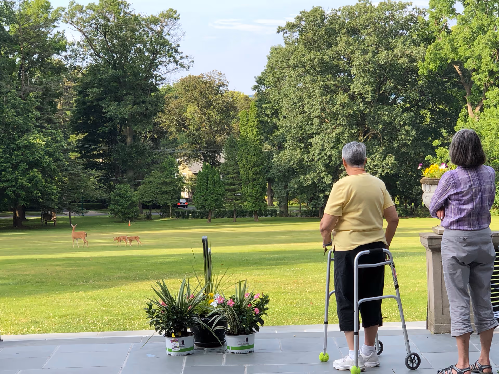 Two women, one using a walker, stand on a patio watching deer grazing on a large grassy lawn.